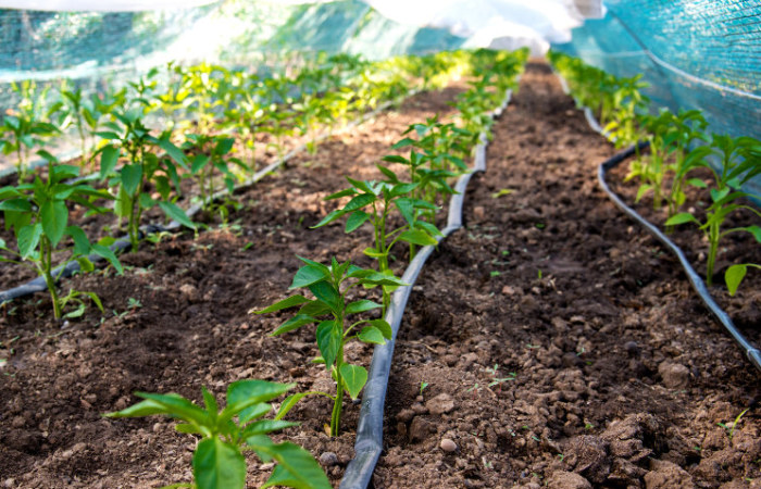 Lawn Sprinkler Bewässerung Gemüsebeete, Gartenoase Beregnungen Erlangen
